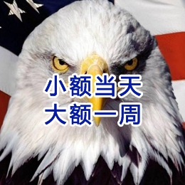 宾县要账公司